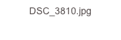 DSC_3810.jpg